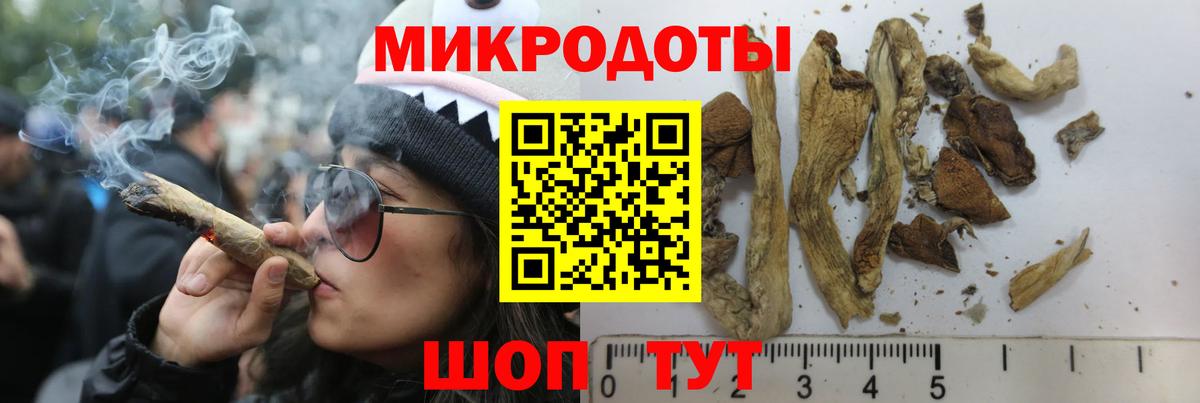 Псилоцибиновые грибы Cubensis  Вход с VPN  где продают   Сокол  Псилоцибиновые грибы MAGIC MUSHROOMS 